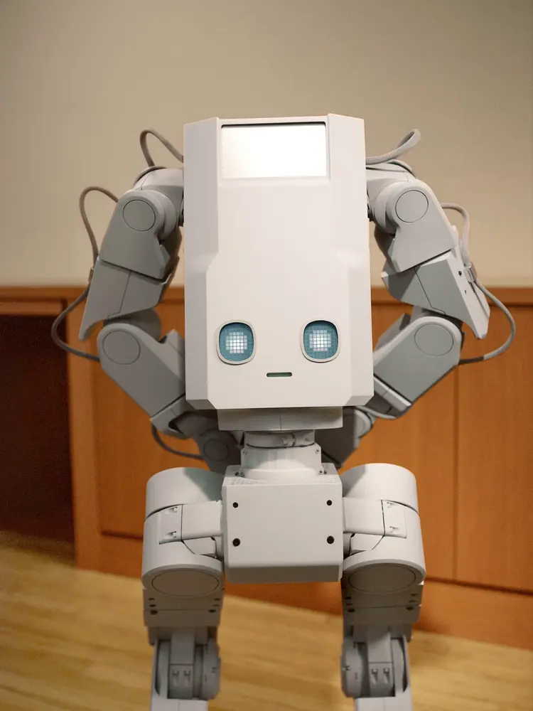 Robot Voxel Series-1